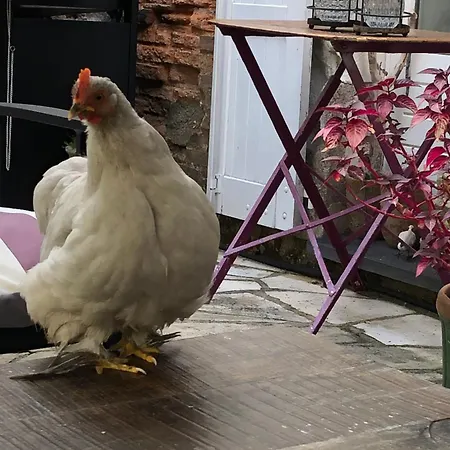 Bed & Breakfast La Thibautiere Blaison