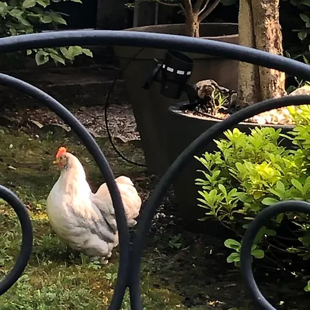 Bed & Breakfast La Thibautiere