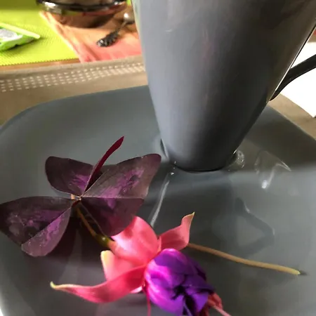 La Thibautiere 3* Blaison