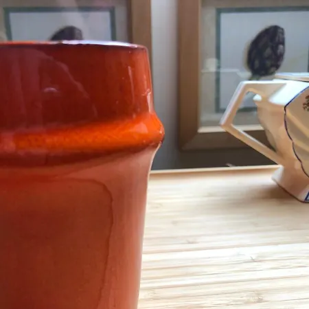 La Thibautiere Blaison