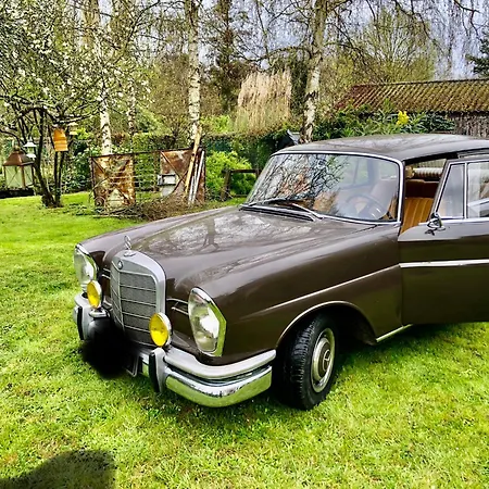 Bed & Breakfast La Thibautiere