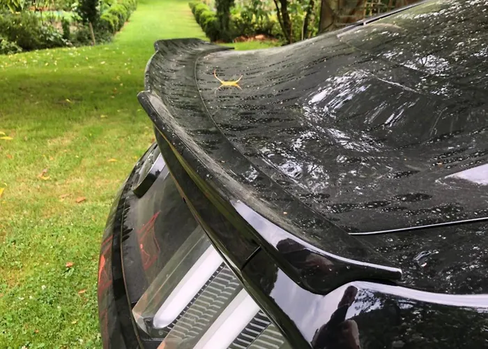 La Thibautiere Blaison