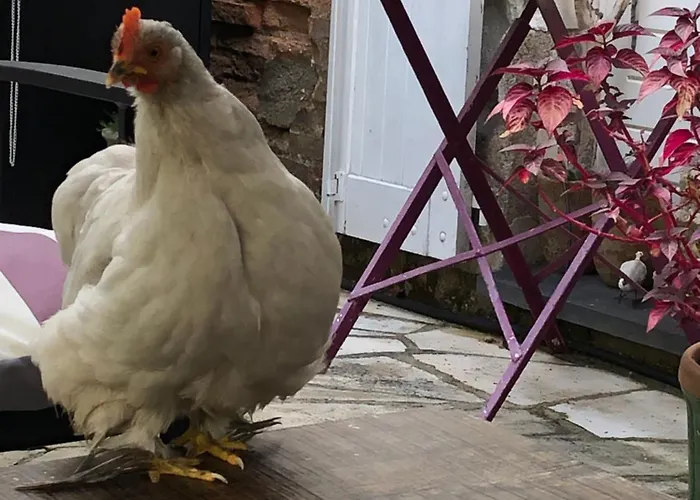 B&B La Thibautiere Blaison