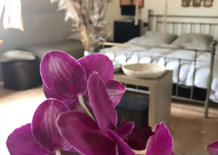 La Thibautiere B&B Blaison