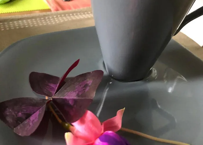 La Thibautiere 3* Blaison